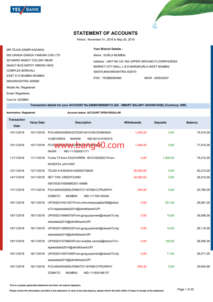 印度 Yesbank 报表模板