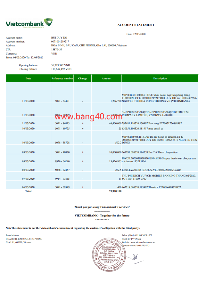 vietcombank越南银行对账单模板