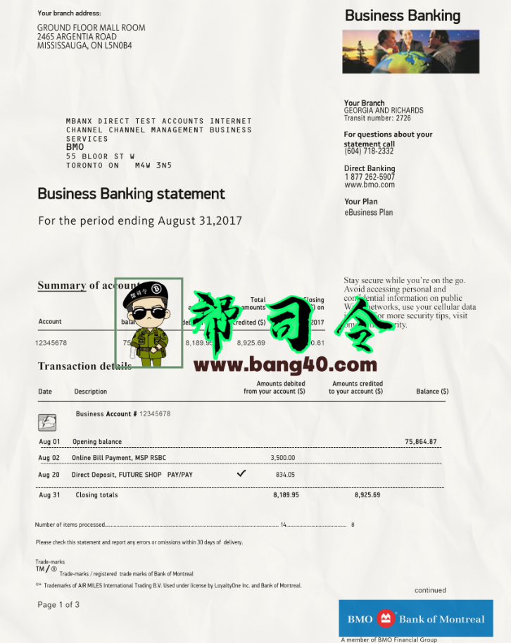 加拿大蒙特利尔银行 BMO 声明可编辑 PSD 模板