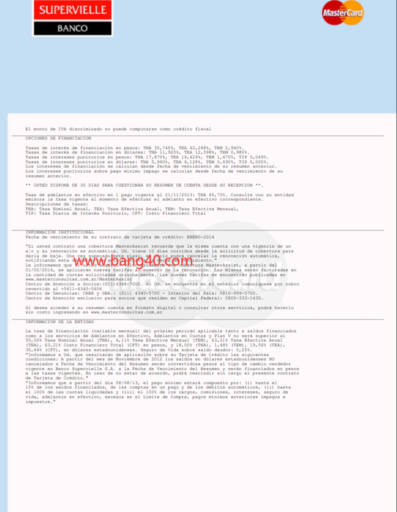 图片[2]-万事达卡声明模板Mastercard Statement Template