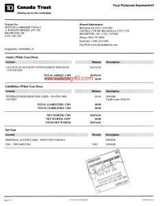 加拿大信托银行对账单PDF模板（共计15页）Canada Trust Bank Statement Template-帮司令