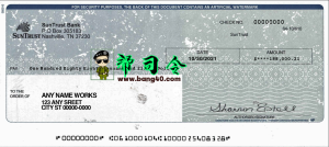 太阳信任空白支票 PSD 模板SunTrust Blank Check-帮司令