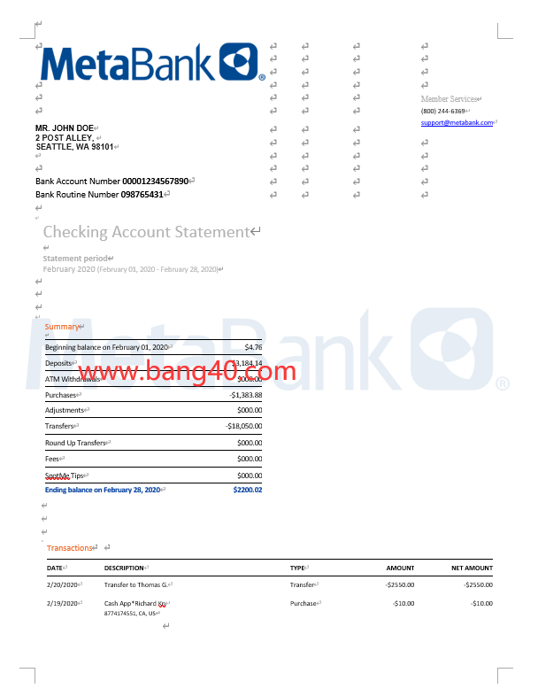 美国Metabank 银行对账单模板