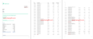 美国Robinhood 银行对账单模板American Robin Hood Bank Statement Template-帮司令