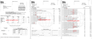 海军联邦银行对账单模板Naval Federal Bank Statement Template-帮司令