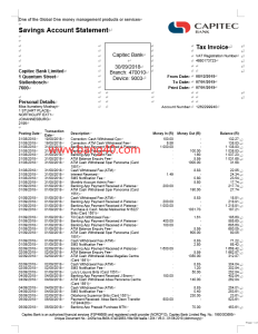 美国USA Capitec 银行对账单 Word 模板Word  templates for USA Capitec bank statements-帮司令