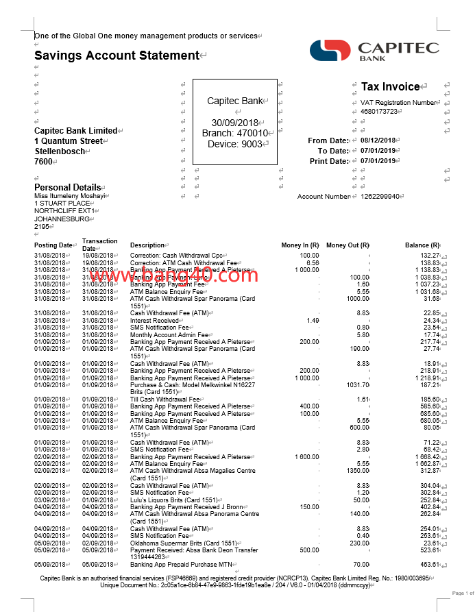 美国USA Capitec 银行对账单 Word 和 PDF 模板