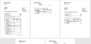 加拿大丰业银行业务报表模板Canada Scotiabank Business Statement Template-帮司令