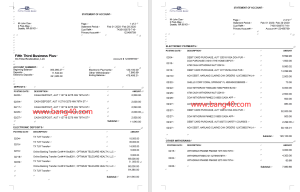 第五第三银行对账单新模板Fifth Third Bank Statement New Template-帮司令