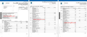 加拿大 RBC 银行对账单可编辑Word格式模板Editable Word Format Template of Canada RBC Bank Statement-帮司令