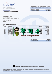 花旗银行银行对账单模板 Psd文件Citibank Bank Statement Template Psd File-帮司令