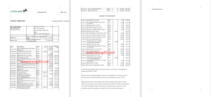 英国劳埃德银行对账单模板Lloyds Bank Statement Template-帮司令