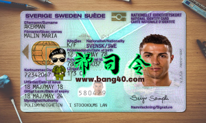 瑞典身份证 Psd 模板Swedish ID card Psd template-帮司令