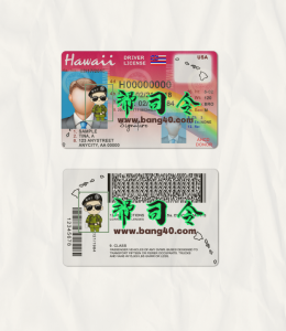 夏威夷驾驶执照模板 PSD V2  Hawaii Drivers License Template PSD V2-帮司令