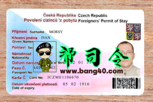 PSD 格式的捷克共和国身份证模板 V2  Czech Republic Identity Card Template V2 in PSD Format-帮司令