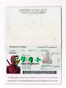 Psd 格式的突尼斯护照模板Tunisia Passport Template In Psd Format-帮司令