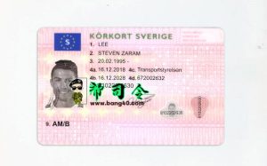 瑞典驾驶执照可编辑 PSD 模板 V2  SWEDEN DRIVER LICENSE EDITABLE PSD TEMPLATE V2-帮司令