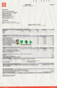 保加利亚电费单 PSD 模板Bulgaria Electricity Bill PSD Template-帮司令
