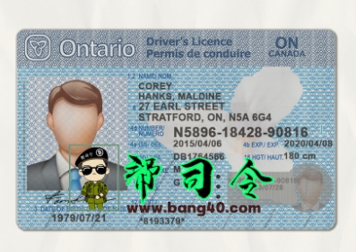 加拿大安大略省驾驶执照 PSD 格式 V2 模板Canada Ontario Driving License Template In PSD Format V2