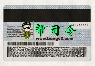图片[2]-加拿大安大略省驾驶执照 PSD 格式 V2 模板Canada Ontario Driving License Template In PSD Format V2