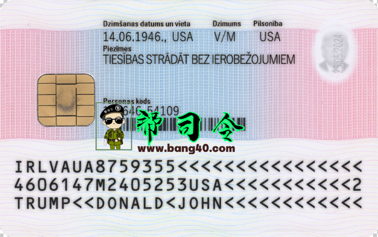 图片[2]-拉脱维亚居留许可 PSD 模板Latvian Residence Permit PSD Template