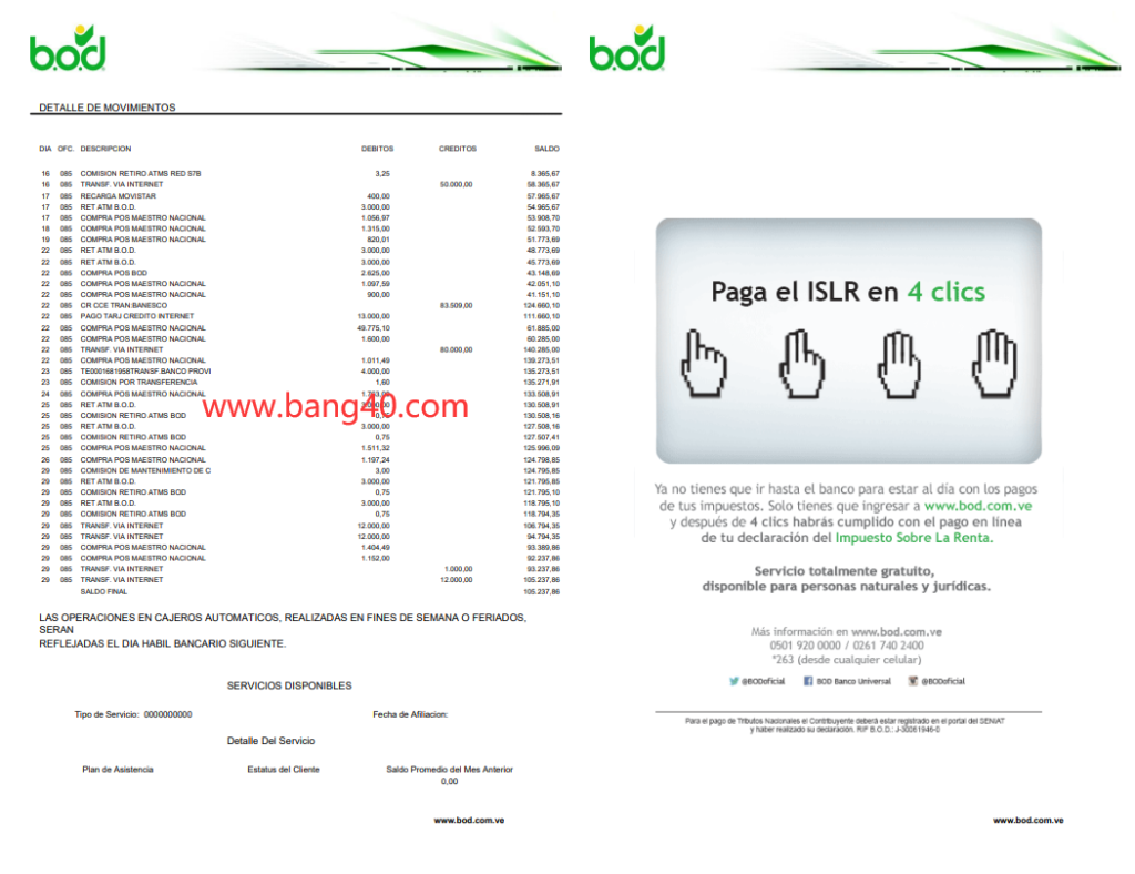 图片[2]-西班牙账户报表模板Spain Account Statement Template