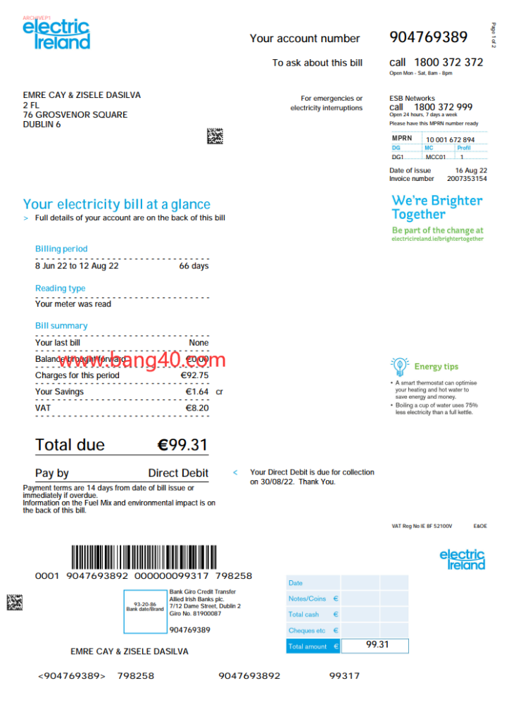 爱尔兰电力账单模板Electric Ireland Bill Template