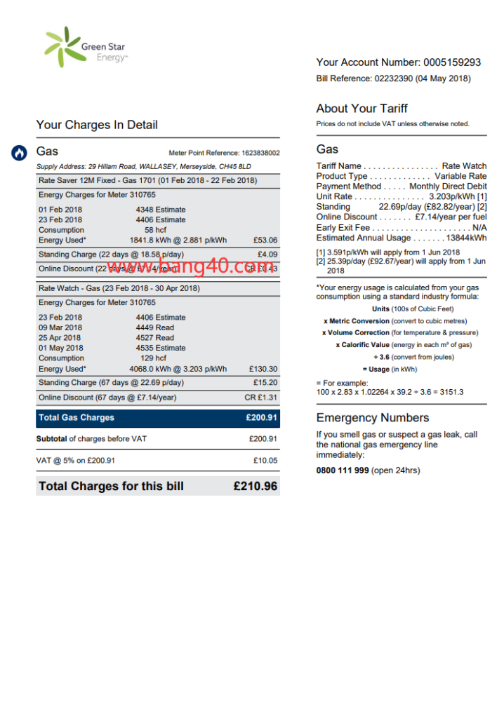 图片[2]-英国能源法案模板（绿色启动能源）Uk Energy Bill Template (Green Start Energy)