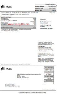 纽约 RG&E 账单PDF模板(共计5页)NewYork RG&E Bill Template-帮司令