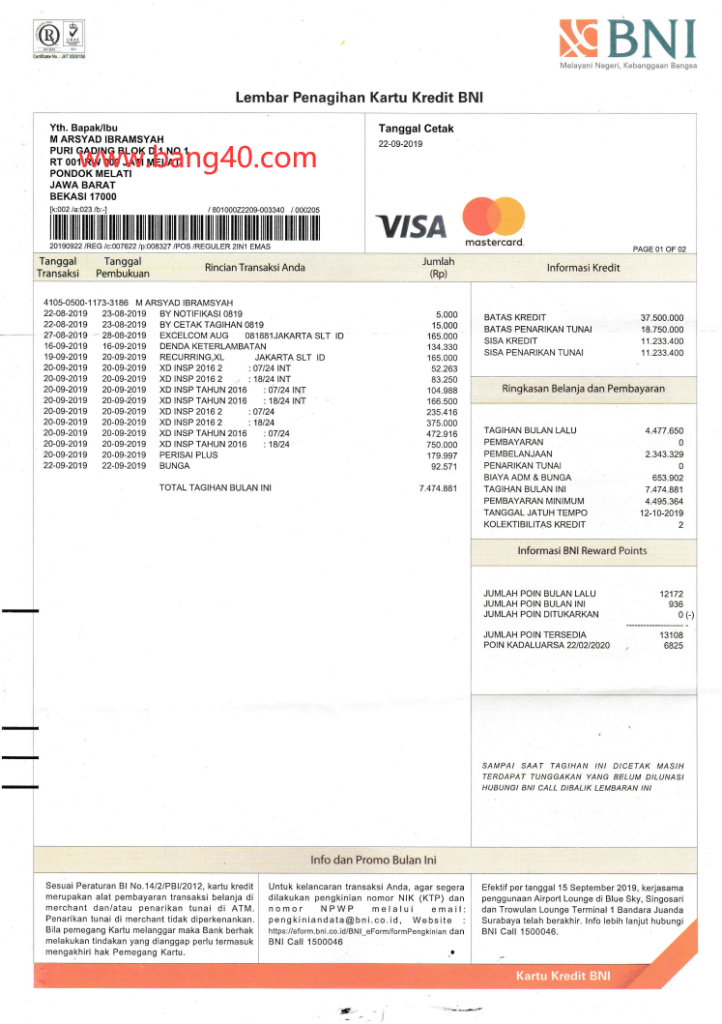 非洲签证万事达卡账单模板African Visa Master Card Bill Template