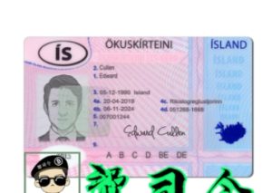 冰岛驾驶执照 PSD 模板质优价廉Iceland Driving Licence Psd Template Best Quality And Cheap-帮司令