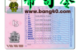 图片[2]-冰岛驾驶执照 PSD 模板质优价廉