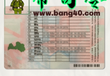 图片[2]-拉脱维亚驾驶执照 PSD 模板