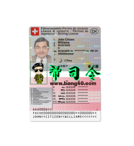 瑞士驾驶执照 PSD 模板Switzerland Driving Licence Psd Template-帮司令