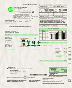 西北农村电力公用事业账单 PSD 模板Northwestern Rural Electric Utility Bill PSD Template-帮司令