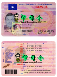 荷兰（荷兰语）驾驶执照 PSD 模板Netherland (Dutch) Driving Licence Psd Template-帮司令