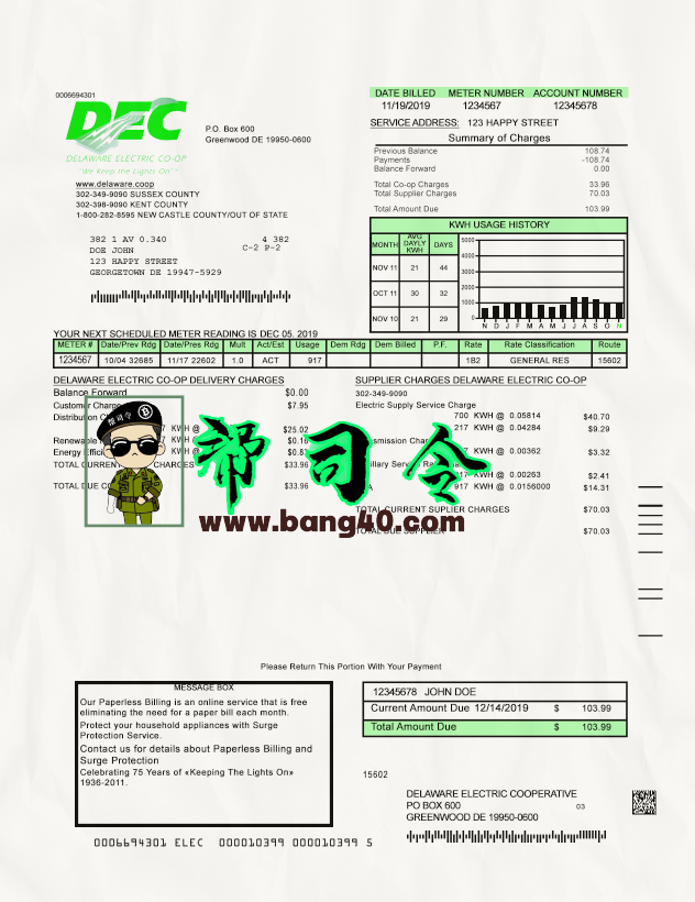 美国特拉华州 DEC 电费单模板