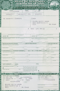 明尼苏达州汽车标题模板Minnesota Car Title Template-帮司令