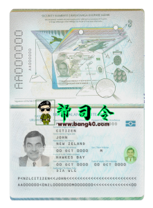 PSD 格式的新西兰护照完全可编辑模板New Zealand Passport Fully Editable Template In PSD Format-帮司令