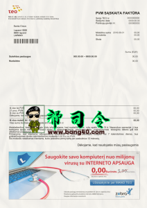 用于 Payoneer 账户验证的立陶宛 TEO 账单 Psd 模板Lithuania TEO Bill Psd Template For Payoneer Account Verification-帮司令