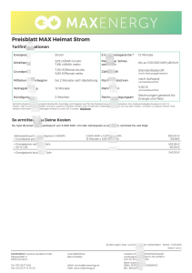 德国 MaxEnergy 公用事业账单模板Germany MaxEnergy Utility Bill Template-帮司令