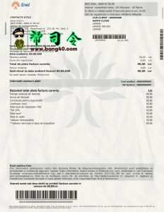 罗马尼亚国家电力公司账单模板Romania Enel Bill Template-帮司令
