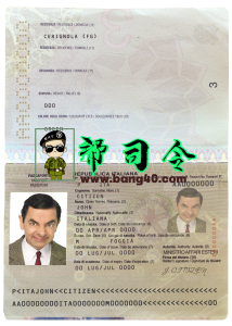 意大利护照 PSD 文件完全可编辑 V3Italy Passport PSD File Fully Editable V3-帮司令