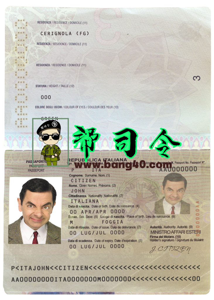 意大利护照 PSD 文件完全可编辑 V3