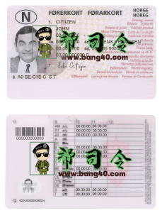 挪威驾驶执照 PSD 模板Norway Driver License PSD Template-帮司令
