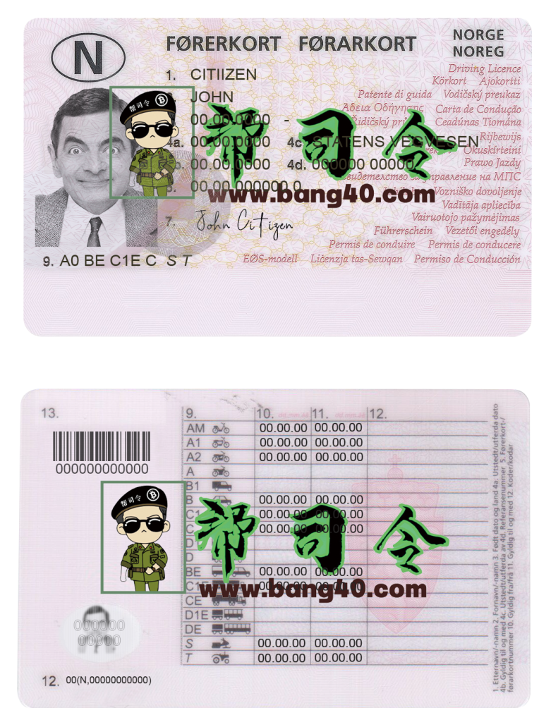 挪威驾驶执照 PSD 模板