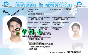 PSD 格式的加拿大西北地区驾驶执照模板Canada Northwest Territories Driving License Template In PSD Format-帮司令