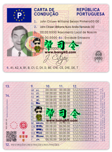 葡萄牙驾驶执照 PSD 模板Portugal Driver License PSD Template-帮司令