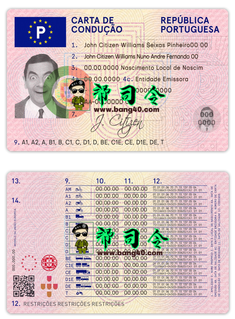 葡萄牙驾驶执照 PSD 模板