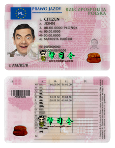 波兰驾驶执照 PSD 模板Poland Driver License PSD Template-帮司令
